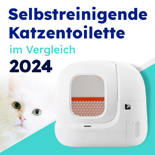 Selbstreinigende Katzentoiletten im Vergleich 2024
