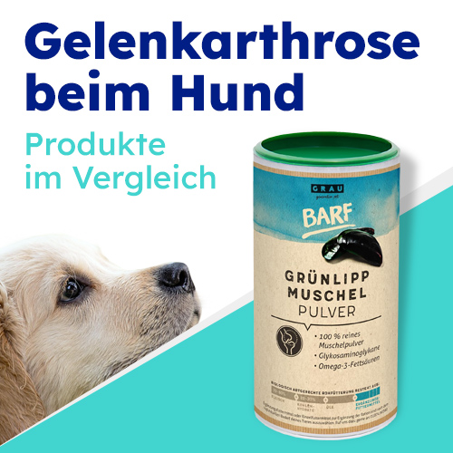 Grünlippmuschelpulver bei Arthrose beim Hund - Produkte im Vergleich